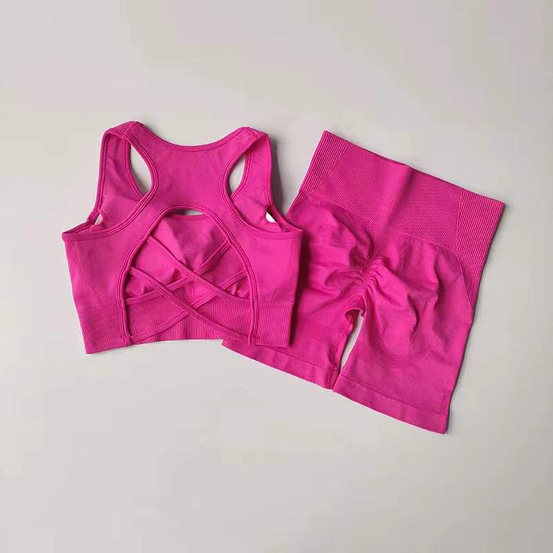 2 PCS Women'S Seamless Yoga Set Sexy Sport Bra High Waist Sports Shorts Gym Fitness Sleeveless Workout Suit Sporstwear